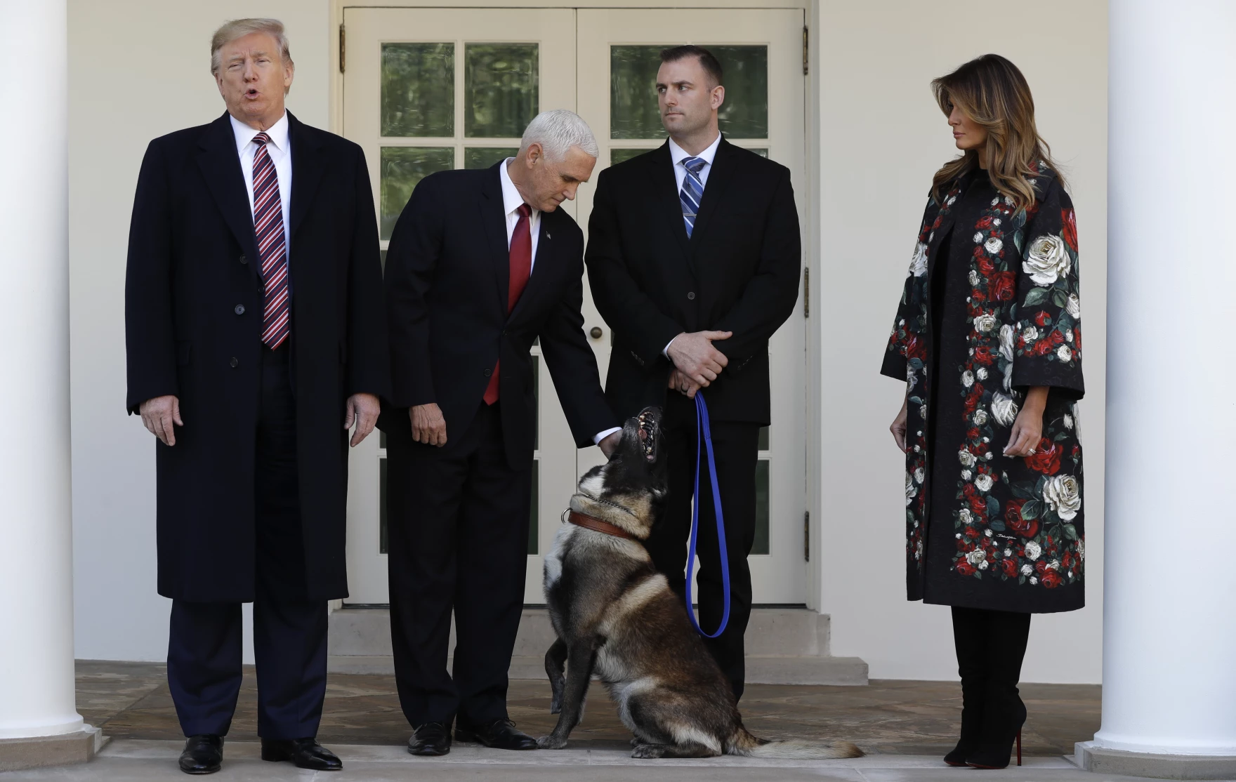 Conan the Belgian Malinois being honoured at the White House by President Trump and Vice President Pence after the 2019 al-Baghdadi raid