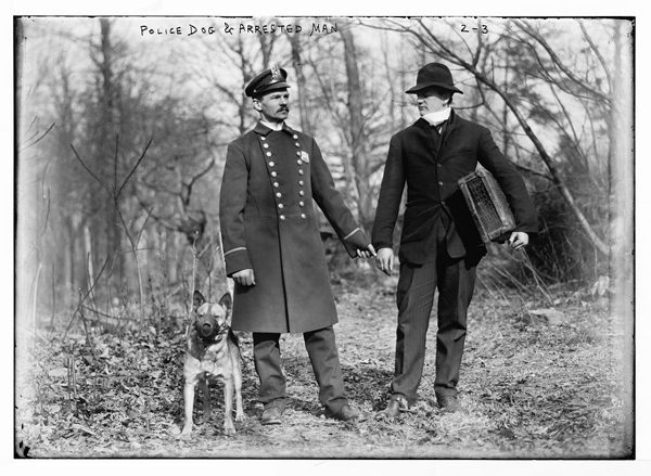 Vintage 1912 photograph 'Police Dog & Arrested Man' — uniformed officer holding a suspect with an early Malinois-type police dog at his side